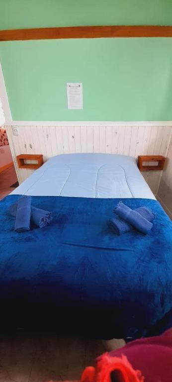 Hostel Cerro Torres El Chalten Bagian luar foto